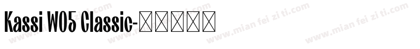 Kassi W05 Classic字体转换
